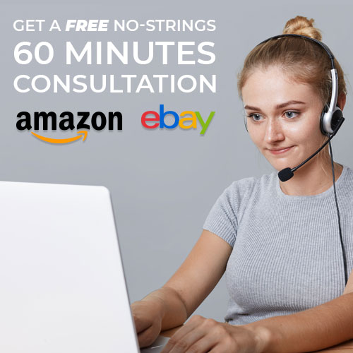 FREE Amazon and eBay consultation